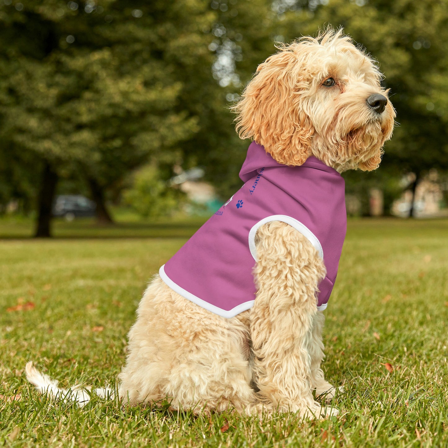 The Wiley Wire Winery Logo Dog Hoodie