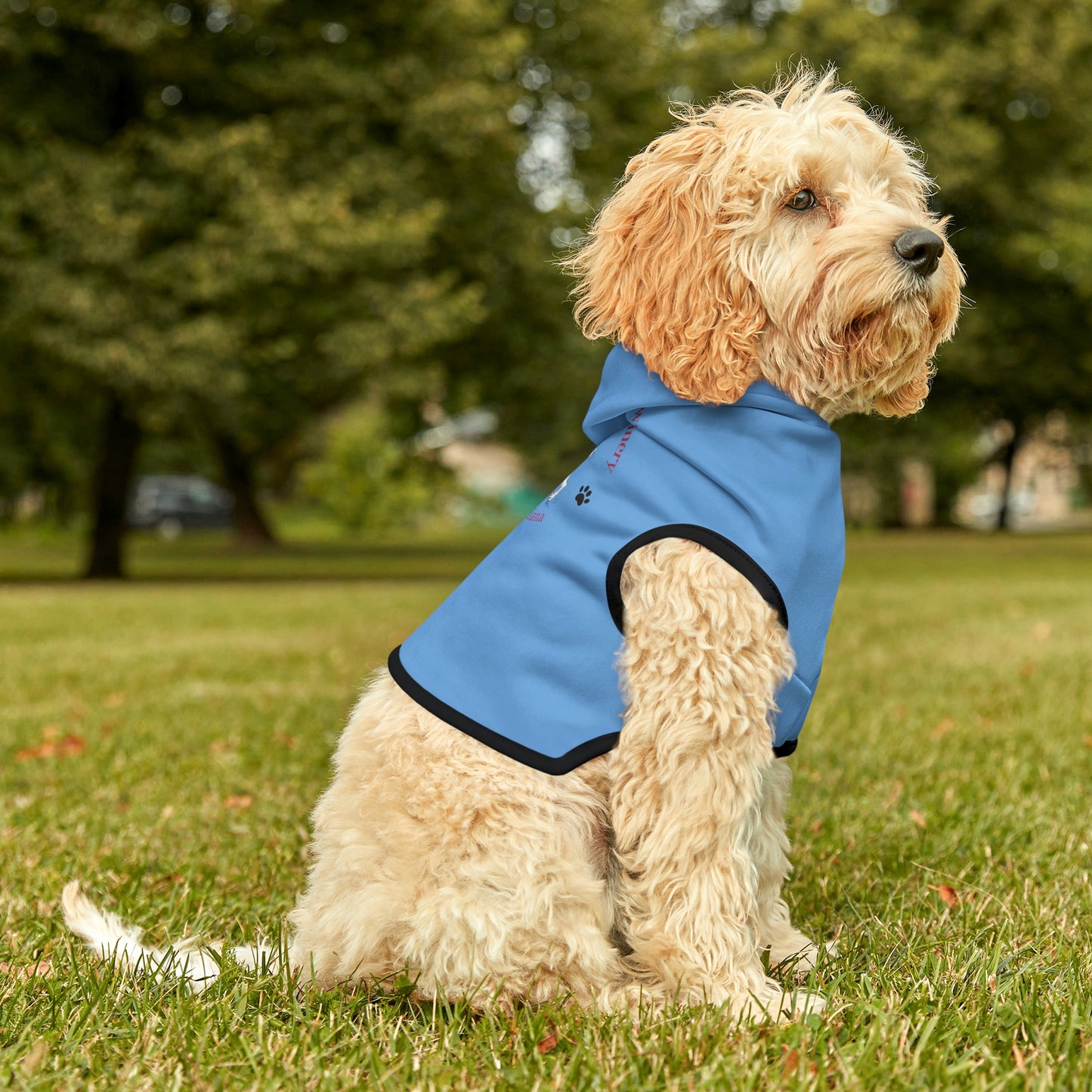 The Wiley Wire Winery Logo Dog Hoodie
