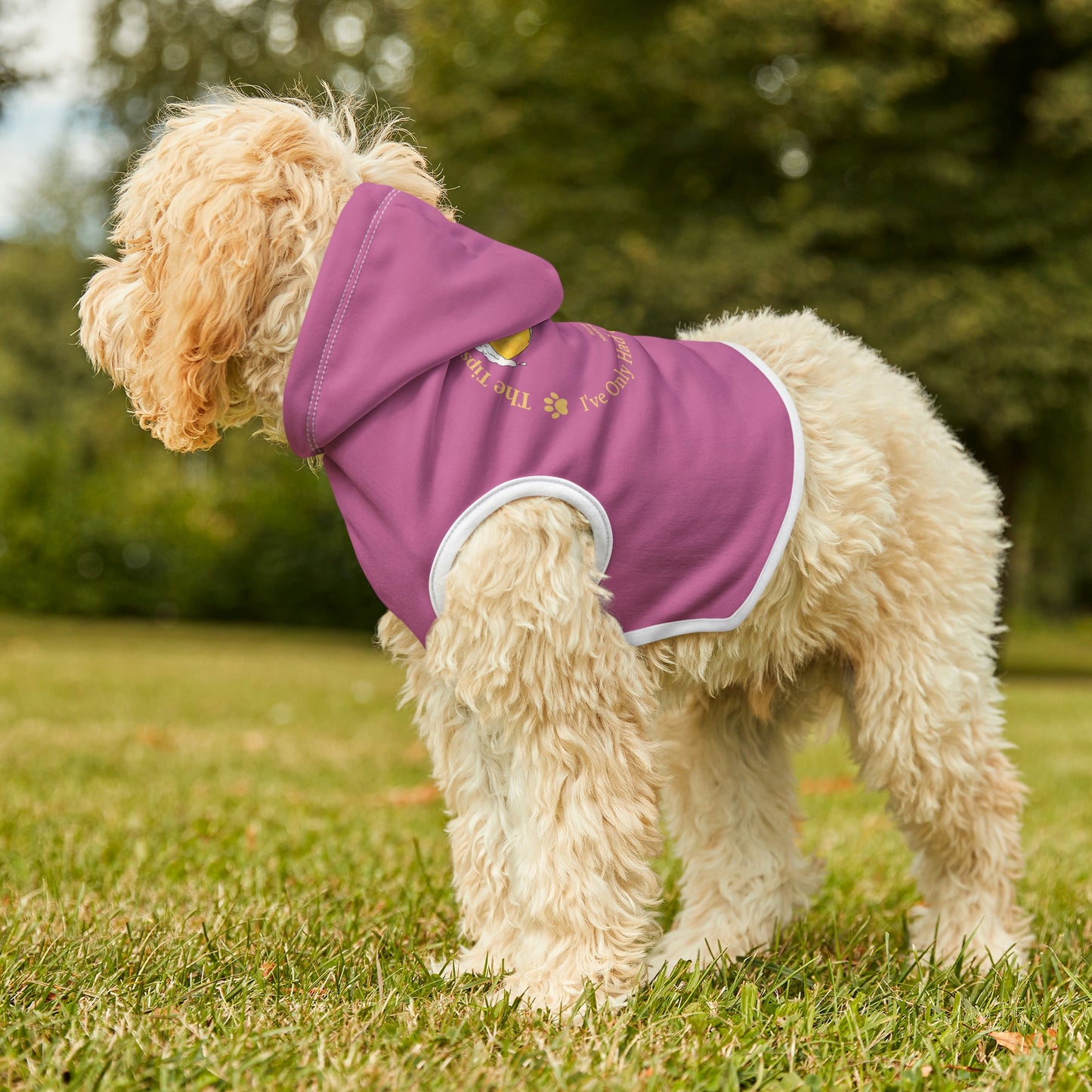 The Tipsy Terrier Logo Dog Hoodie